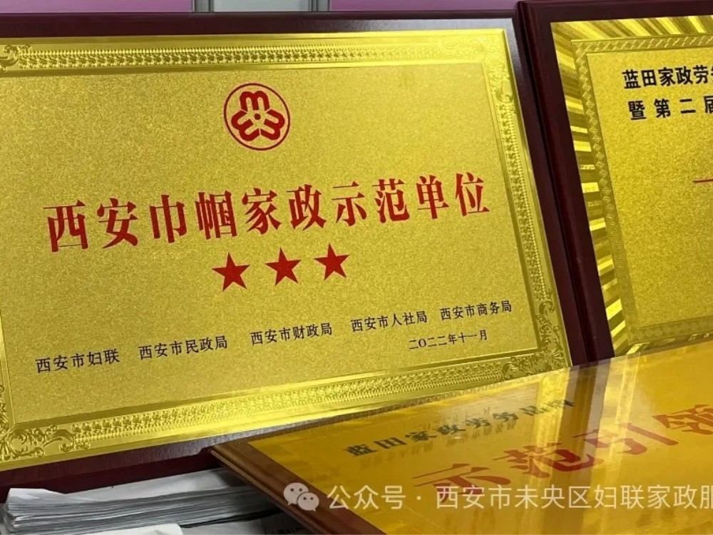 荣誉照片
